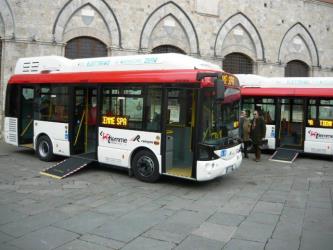 Tiemme spa buses